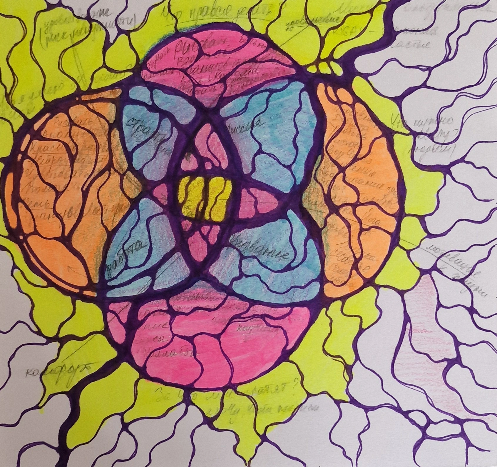 Instructor creation by Hanna Chernik